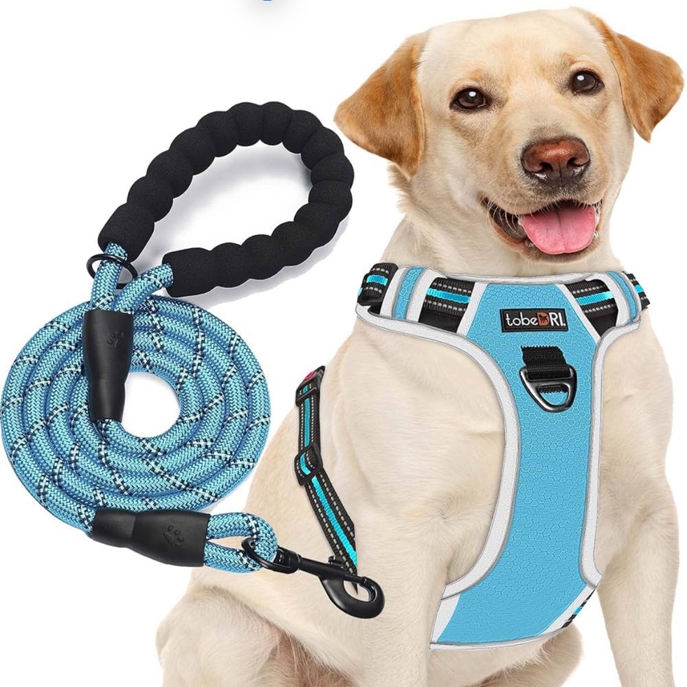 Pink Dog Harness and Leash Set